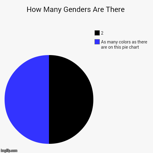 Gender Truthality | image tagged in funny,pie charts,gender,2 genders | made w/ Imgflip chart maker