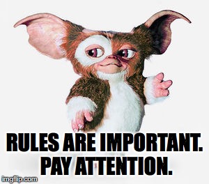 RULES ARE IMPORTANT. PAY ATTENTION. | made w/ Imgflip meme maker
