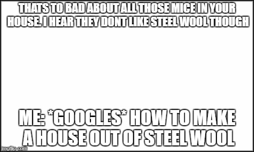 Unfortunatly, you cant | THATS TO BAD ABOUT ALL THOSE MICE IN YOUR HOUSE. I HEAR THEY DONT LIKE STEEL WOOL THOUGH; ME: *GOOGLES* HOW TO MAKE A HOUSE OUT OF STEEL WOOL | image tagged in plain white | made w/ Imgflip meme maker