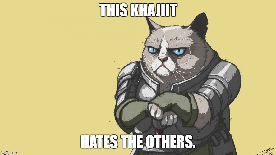 Grumpy Khajiit | THIS KHAJIIT; HATES THE OTHERS. | image tagged in grumpy cat,khajiit,the elder scrolls,skyrim | made w/ Imgflip meme maker
