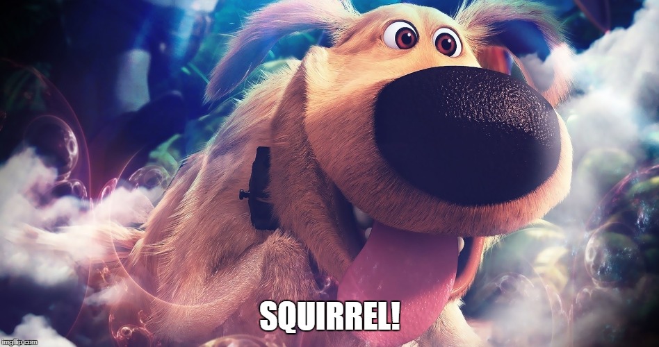 Dug | SQUIRREL! | image tagged in squirrel,dug,up | made w/ Imgflip meme maker