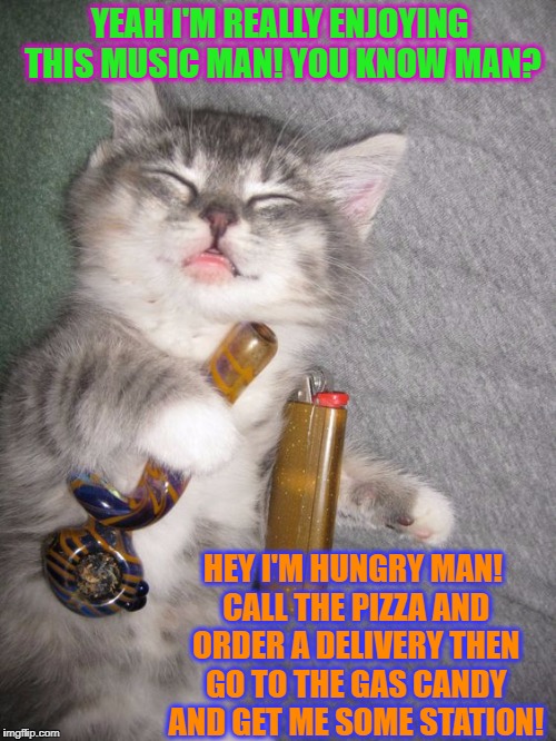 YEAH I'M REALLY ENJOYING THIS MUSIC MAN! YOU KNOW MAN? HEY I'M HUNGRY MAN! CALL THE PIZZA AND ORDER A DELIVERY THEN GO TO THE GAS CANDY AND GET ME SOME STATION! | image tagged in stoner kitten | made w/ Imgflip meme maker