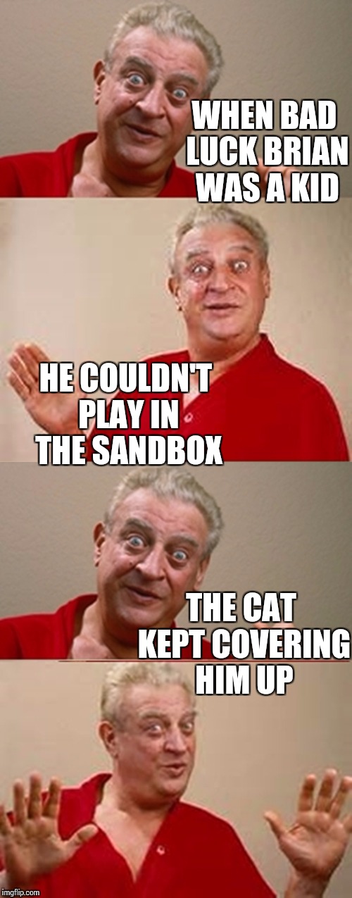 Bad luck brian don't get no respect. No respect at all | WHEN BAD LUCK BRIAN WAS A KID; HE COULDN'T PLAY IN THE SANDBOX; THE CAT KEPT COVERING HIM UP | image tagged in bad pun rodney dangerfield,bad luck brian,memes | made w/ Imgflip meme maker