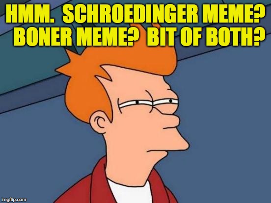 Futurama Fry Meme | HMM.  SCHROEDINGER MEME?  BONER MEME?  BIT OF BOTH? | image tagged in memes,futurama fry | made w/ Imgflip meme maker