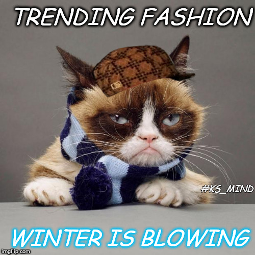 grumpy cat winter | TRENDING FASHION; #KS_MIND; WINTER IS BLOWING | image tagged in grumpy cat winter,scumbag | made w/ Imgflip meme maker