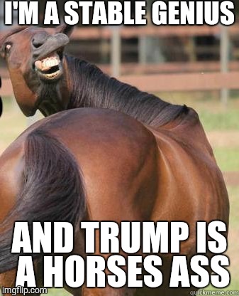 horses ass | I'M A STABLE GENIUS; AND TRUMP IS A HORSES ASS | image tagged in horses ass | made w/ Imgflip meme maker