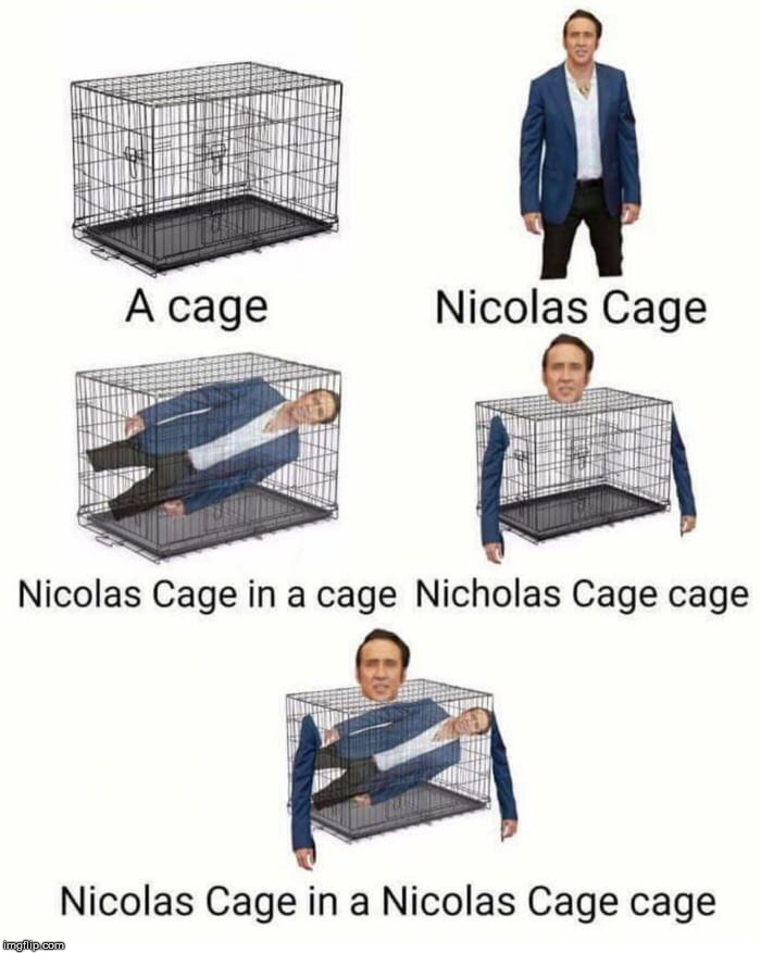 image tagged in nicolas,cage | made w/ Imgflip meme maker