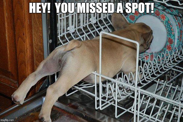Dishwashing | HEY!  YOU MISSED A SPOT! | image tagged in dog dishwashing,hey you missed a spot,funny dog | made w/ Imgflip meme maker
