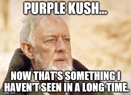 Obi Wan Kenobi | PURPLE KUSH... NOW THAT'S SOMETHING I HAVEN'T SEEN IN A LONG TIME. | image tagged in memes,obi wan kenobi | made w/ Imgflip meme maker