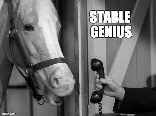 Like, really smart. | STABLE GENIUS | image tagged in donald trump,mister ed,stable genius,trump,president trump | made w/ Imgflip meme maker