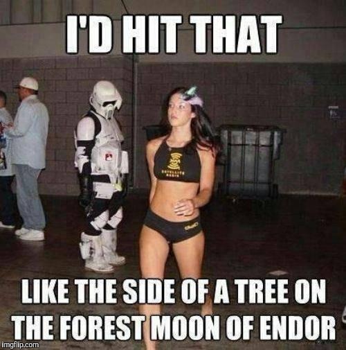 I can't claim originality on this one, but thought it perfect for Geek Week, Jan 7-13, a JBmemegeek & KenJ event!  | I'D HIT THAT LIKE THE SIDE OF A TREE ON THE FOREST MOON OF ENDOR | image tagged in jbmemegeek,geek week,star wars,cosplay,memes | made w/ Imgflip meme maker
