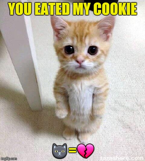 Cute Cat Meme | YOU EATED MY COOKIE; 🐱=💔 | image tagged in memes,cute cat | made w/ Imgflip meme maker