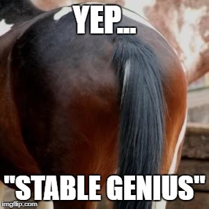 YEP... "STABLE GENIUS" | image tagged in ass genius | made w/ Imgflip meme maker