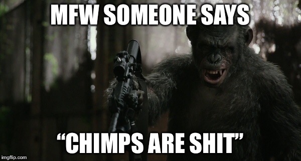Don’t say they’re shit | MFW SOMEONE SAYS; “CHIMPS ARE SHIT” | image tagged in apesfollowkoba,planet of the apes,chimpanzee,gun | made w/ Imgflip meme maker