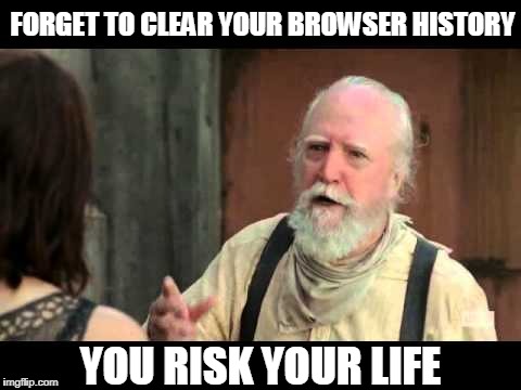 Hershel  | FORGET TO CLEAR YOUR BROWSER HISTORY; YOU RISK YOUR LIFE | image tagged in hershel | made w/ Imgflip meme maker