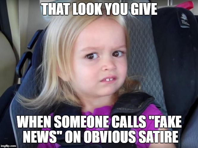 That Look You Give When Someone Calls "Fake News" on Obvious Sature |  THAT LOOK YOU GIVE; WHEN SOMEONE CALLS "FAKE NEWS" ON OBVIOUS SATIRE | image tagged in huh,fake news,that look you give | made w/ Imgflip meme maker