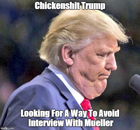 Chickenshit Trump Looking For A Way To Avoid Interview With Mueller | made w/ Imgflip meme maker