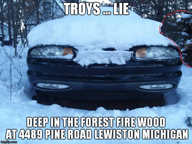 TROYS ... LIE; DEEP IN THE FOREST FIRE WOOD AT 4489 PINE ROAD LEWISTON MICHIGAN | image tagged in troys lie | made w/ Imgflip meme maker