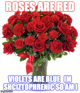 roses are red... | ROSES ARE RED; VIOLETS ARE BLUE


IM SHCIZTOPHRENIC SO AM I | image tagged in roses are red | made w/ Imgflip meme maker