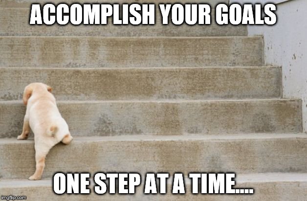 One step at a time | ACCOMPLISH YOUR GOALS; ONE STEP AT A TIME.... | image tagged in monday motivation,goals,dog,puppy | made w/ Imgflip meme maker