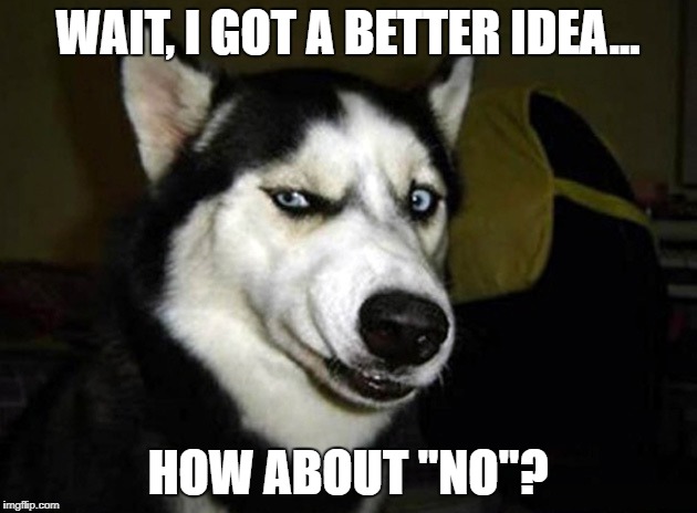 skeptical dog | WAIT, I GOT A BETTER IDEA... HOW ABOUT "NO"? | image tagged in skeptical dog | made w/ Imgflip meme maker