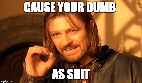 CAUSE YOUR DUMB AS SHIT | image tagged in memes,one does not simply | made w/ Imgflip meme maker