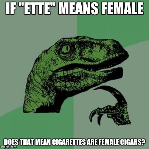 Philosoraptor Meme | IF "ETTE" MEANS FEMALE; DOES THAT MEAN CIGARETTES ARE FEMALE CIGARS? | image tagged in memes,philosoraptor | made w/ Imgflip meme maker