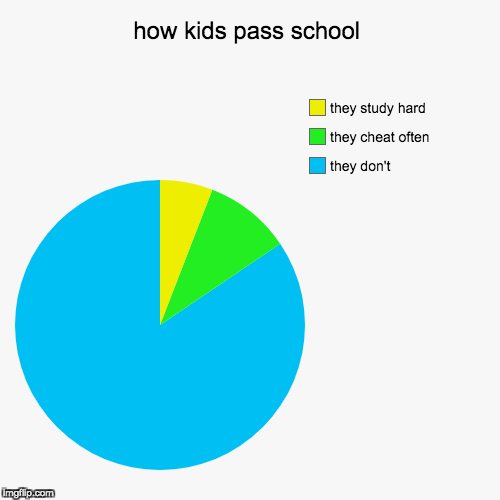 image tagged in funny,pie charts | made w/ Imgflip chart maker