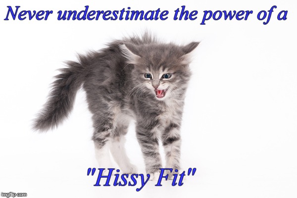 Hissy Fit | Never underestimate the power of a; "Hissy Fit" | image tagged in power,underestimate | made w/ Imgflip meme maker