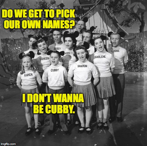 DO WE GET TO PICK OUR OWN NAMES? I DON'T WANNA BE CUBBY. | made w/ Imgflip meme maker