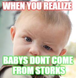 Skeptical Baby | WHEN YOU REALIZE; BABYS DONT COME FROM STORKS | image tagged in memes,skeptical baby | made w/ Imgflip meme maker