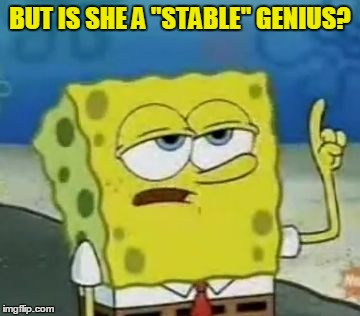 BUT IS SHE A "STABLE" GENIUS? | made w/ Imgflip meme maker