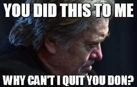 Bannon Can't Quit Him (love is love) | YOU DID THIS TO ME; WHY CAN'T I QUIT YOU DON? | image tagged in steve bannon reflects on life,memes,donald trump,love wins | made w/ Imgflip meme maker