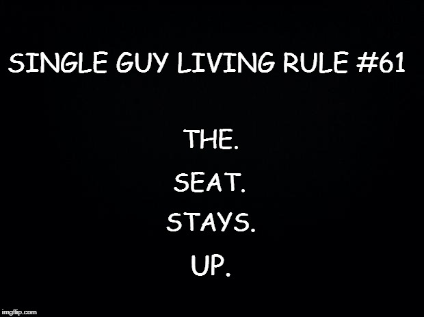 Black background | SINGLE GUY LIVING RULE #61; THE. SEAT. STAYS. UP. | image tagged in black background | made w/ Imgflip meme maker