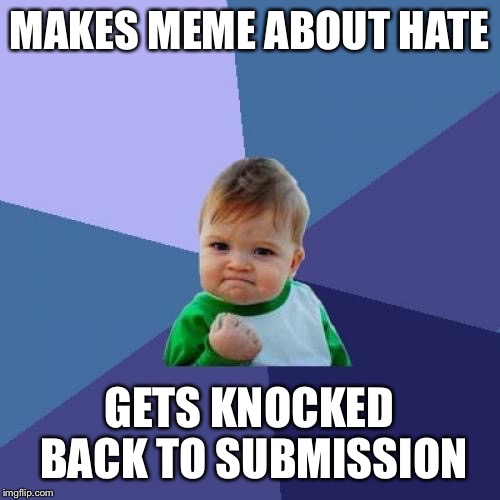 Point proven  | MAKES MEME ABOUT HATE; GETS KNOCKED BACK TO SUBMISSION | image tagged in memes,success kid,haters | made w/ Imgflip meme maker