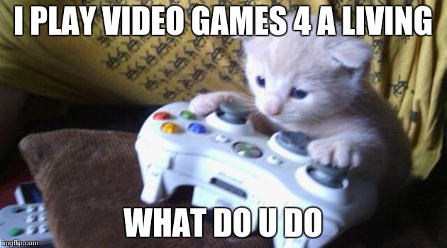 mlg cat | I PLAY VIDEO GAMES 4 A LIVING; WHAT DO U DO | image tagged in mlg cat | made w/ Imgflip meme maker