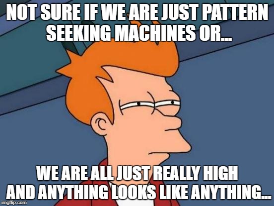 Futurama Fry Meme | NOT SURE IF WE ARE JUST PATTERN SEEKING MACHINES OR... WE ARE ALL JUST REALLY HIGH AND ANYTHING LOOKS LIKE ANYTHING... | image tagged in memes,futurama fry | made w/ Imgflip meme maker