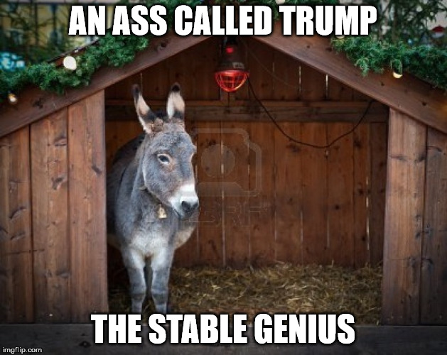 The Genius Is Home | AN ASS CALLED TRUMP; THE STABLE GENIUS | image tagged in president trump,boardroom meeting suggestion | made w/ Imgflip meme maker