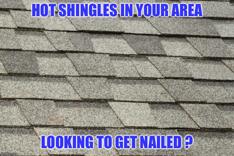 Stolen funny ass quote | HOT SHINGLES IN YOUR AREA; LOOKING TO GET NAILED ? | image tagged in stolen,inappropriate,funny shit | made w/ Imgflip meme maker