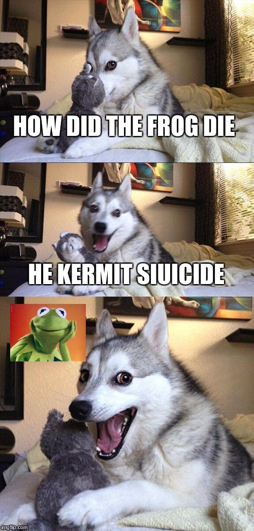 Bad Pun Dog Meme | HOW DID THE FROG DIE; HE KERMIT SIUICIDE | image tagged in memes,bad pun dog | made w/ Imgflip meme maker