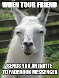 llama side eye | WHEN YOUR FRIEND; SENDS YOU AN INVITE TO FACEBOOK MESSENGER | image tagged in llama side eye | made w/ Imgflip meme maker