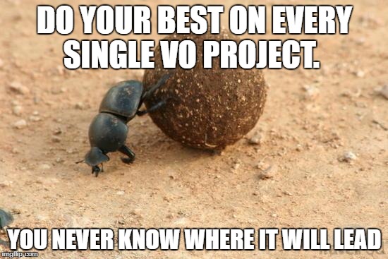 Hard Working Dung Beetle | DO YOUR BEST ON EVERY SINGLE VO PROJECT. YOU NEVER KNOW WHERE IT WILL LEAD | image tagged in hard working dung beetle | made w/ Imgflip meme maker