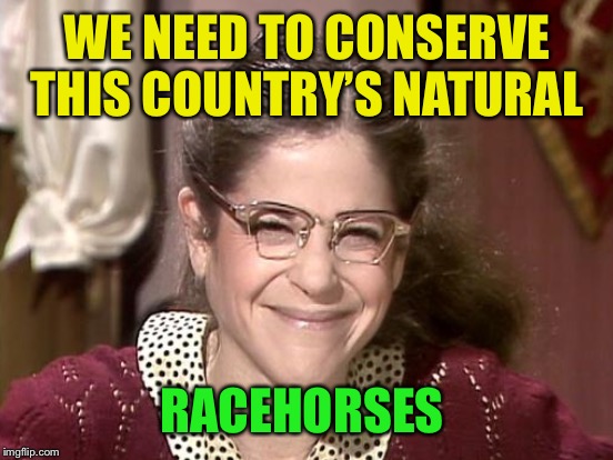 WE NEED TO CONSERVE THIS COUNTRY’S NATURAL RACEHORSES | made w/ Imgflip meme maker