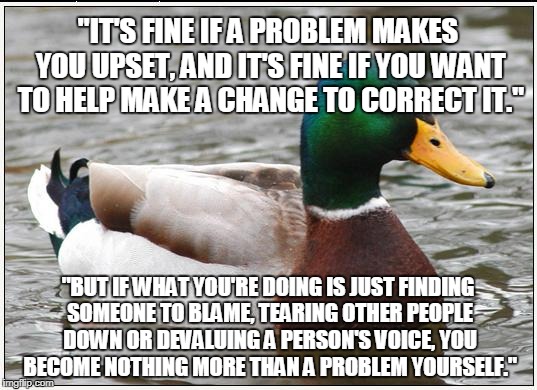 Actual Advice Mallard | "IT'S FINE IF A PROBLEM MAKES YOU UPSET, AND IT'S FINE IF YOU WANT TO HELP MAKE A CHANGE TO CORRECT IT."; "BUT IF WHAT YOU'RE DOING IS JUST FINDING SOMEONE TO BLAME, TEARING OTHER PEOPLE DOWN OR DEVALUING A PERSON'S VOICE, YOU BECOME NOTHING MORE THAN A PROBLEM YOURSELF." | image tagged in memes,actual advice mallard,AdviceAnimals | made w/ Imgflip meme maker