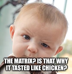 Skeptical Baby Meme | THE MATRIX? IS THAT WHY IT TASTED LIKE CHICKEN? | image tagged in memes,skeptical baby | made w/ Imgflip meme maker
