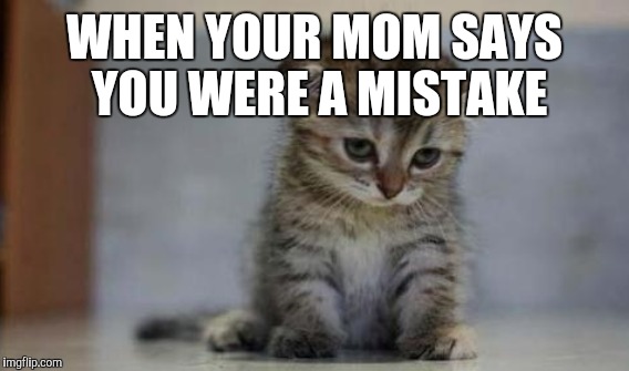 WHEN YOUR MOM SAYS YOU WERE A MISTAKE | made w/ Imgflip meme maker