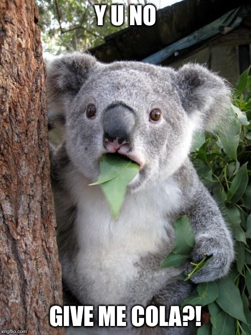 Surprised Koala Meme | Y U NO; GIVE ME COLA?! | image tagged in memes,surprised koala | made w/ Imgflip meme maker