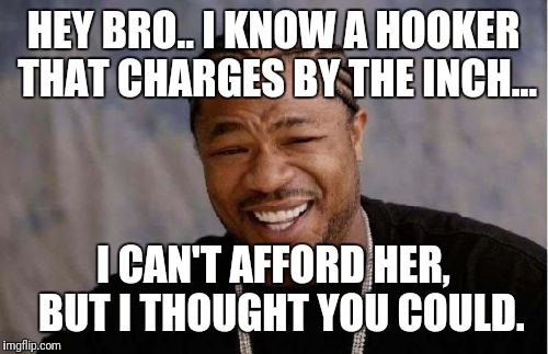 Yo Dawg Heard You | HEY BRO.. I KNOW A HOOKER THAT CHARGES BY THE INCH... I CAN'T AFFORD HER,  BUT I THOUGHT YOU COULD. | image tagged in memes,yo dawg heard you | made w/ Imgflip meme maker
