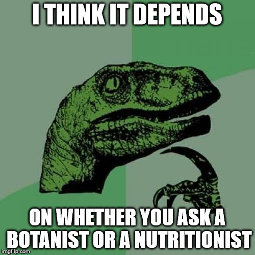 Philosoraptor Meme | I THINK IT DEPENDS ON WHETHER YOU ASK A BOTANIST OR A NUTRITIONIST | image tagged in memes,philosoraptor | made w/ Imgflip meme maker