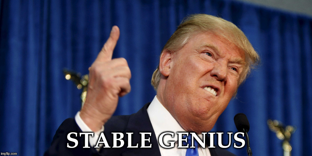 President Trump, "Stable Genius" | STABLE GENIUS | image tagged in stable genius | made w/ Imgflip meme maker